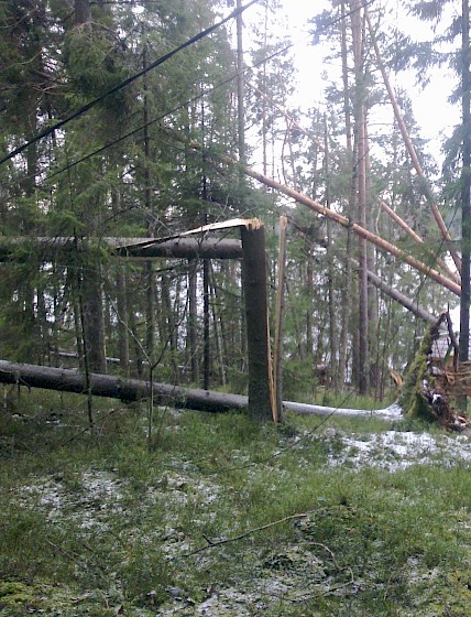 Kuvituskuva